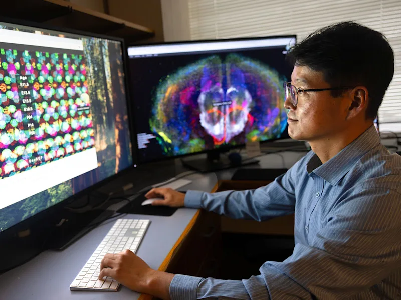 Yongsoo Kim works at a computer showing brain scans