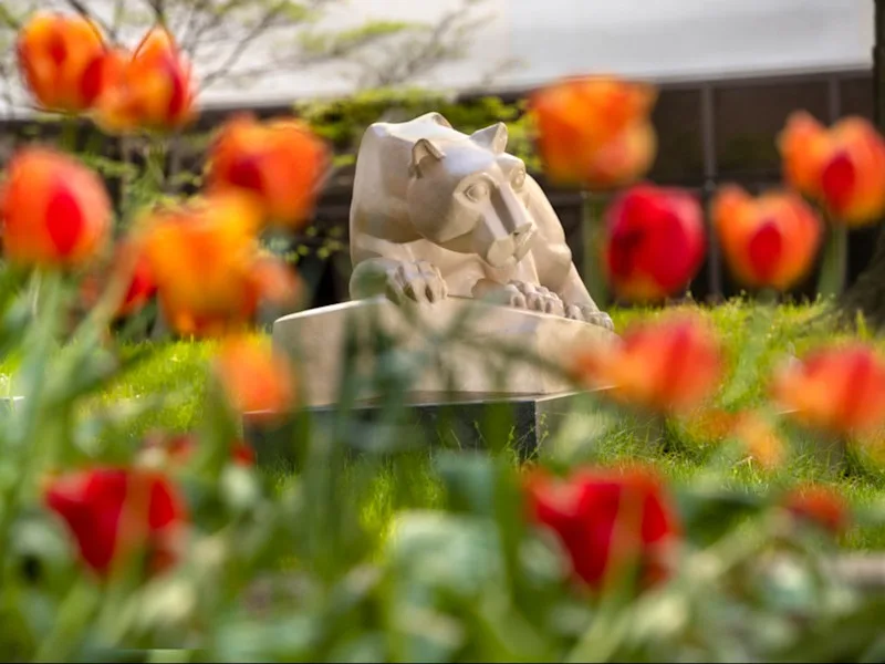 Nittany Lion shrine in the College of Medicine courtyard with flowers in the foreground