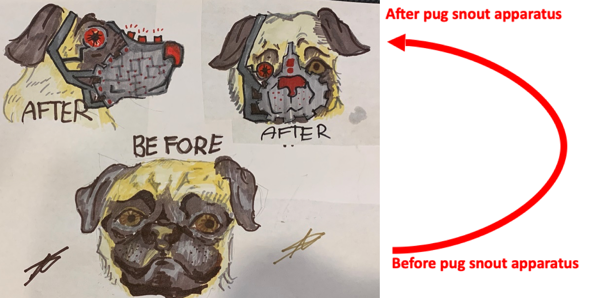 PugApparatus.png