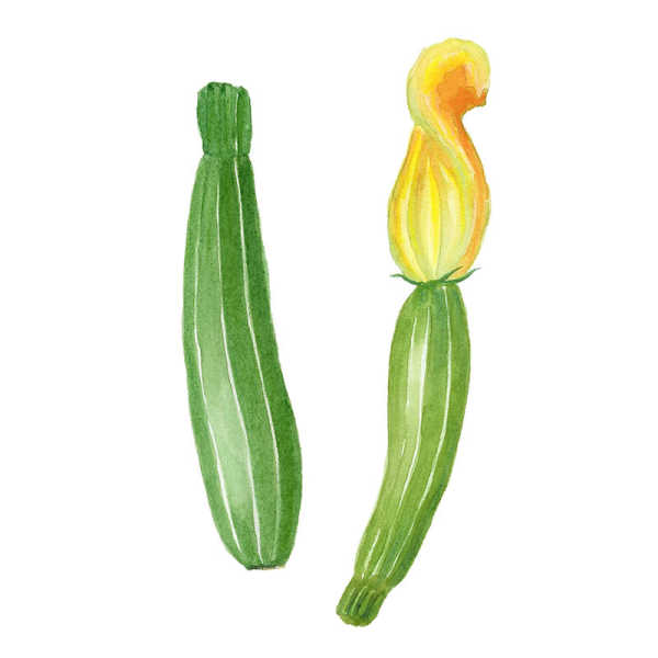 Frutta&Verdura - zucchine