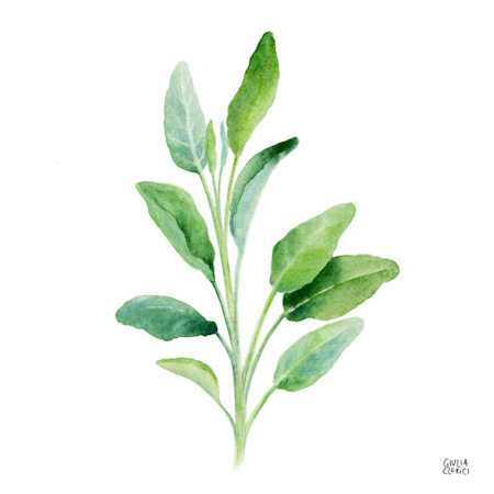 "Borgo Aromatico" project - Municipality of Miasino (north west of Italy) 