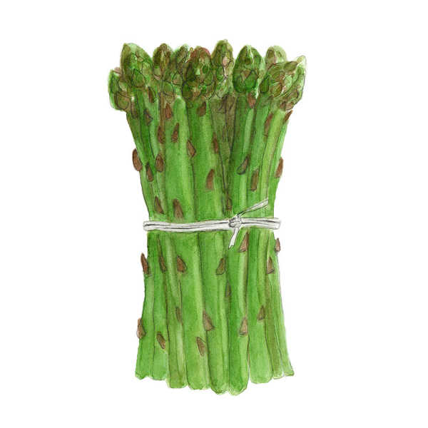 Frutta&Verdura - asparagi
