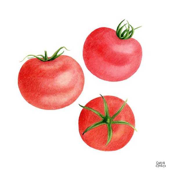 pomodori GiuliaClerici