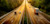 Novapoint Road