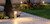 Novapoint Landscape