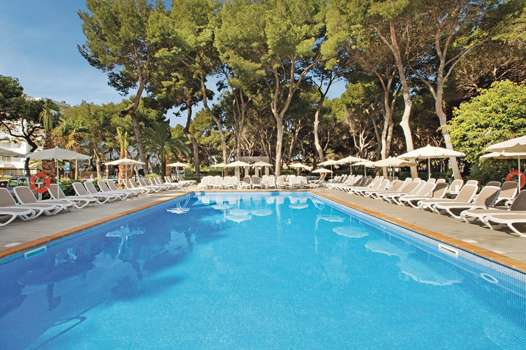 Pool surrounded by loungers and parasols with trees in the background