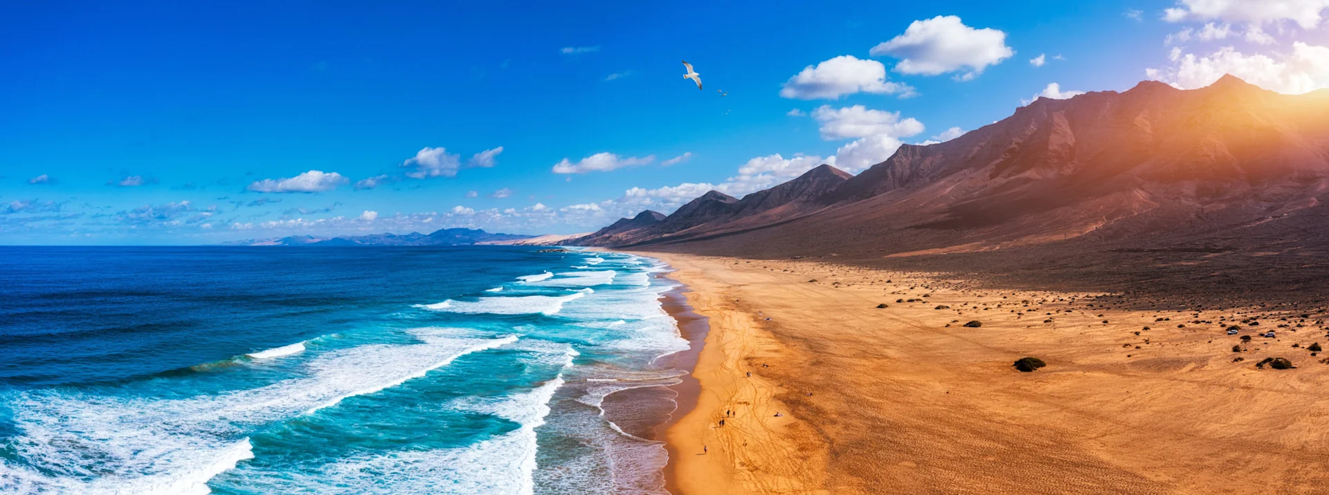 Fuerteventura Beach