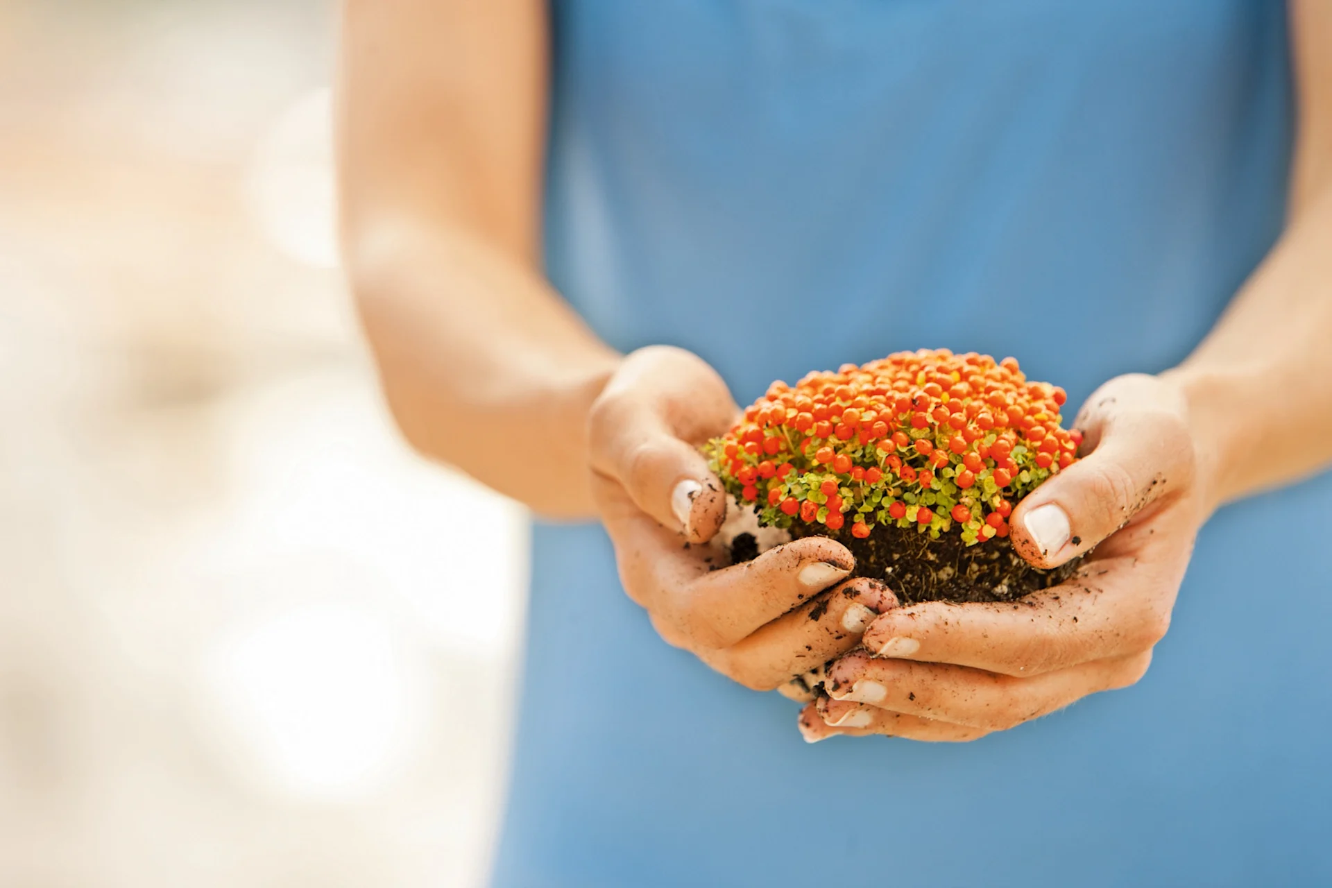 Sustainability hands