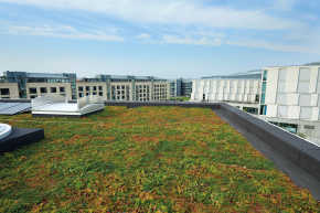 Une toiture végétalisée: plus qu'un jardin sur votre toit