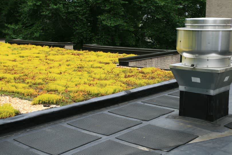 World Greenroof Day 1