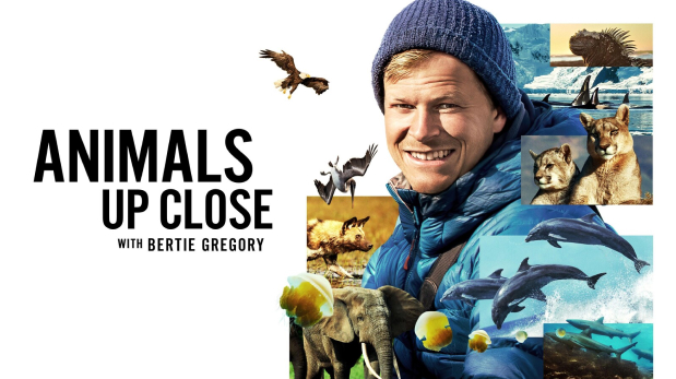 Animals Up Close with Bertie Gregory title card