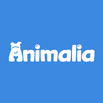 Animalia logo