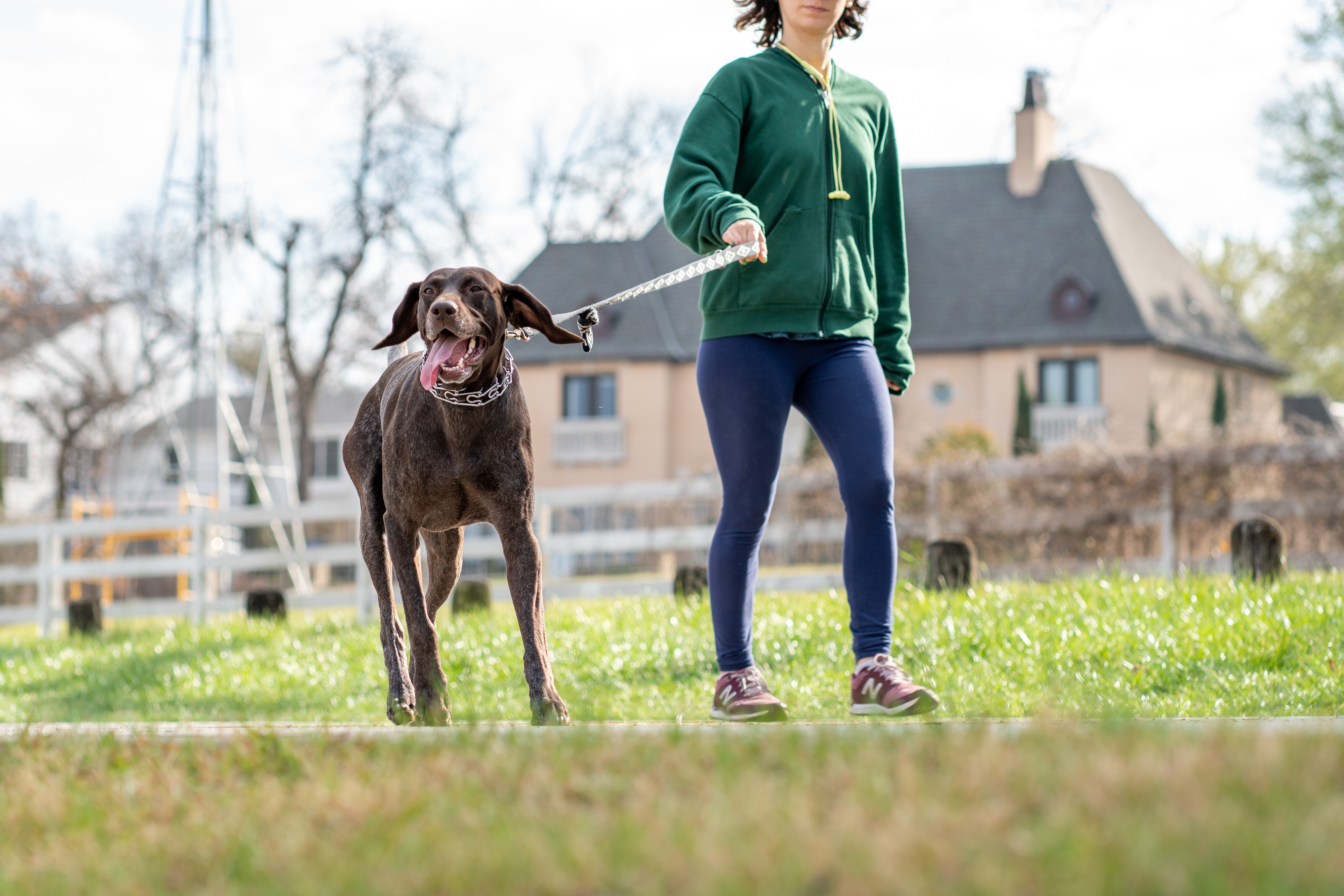 pointer-walk