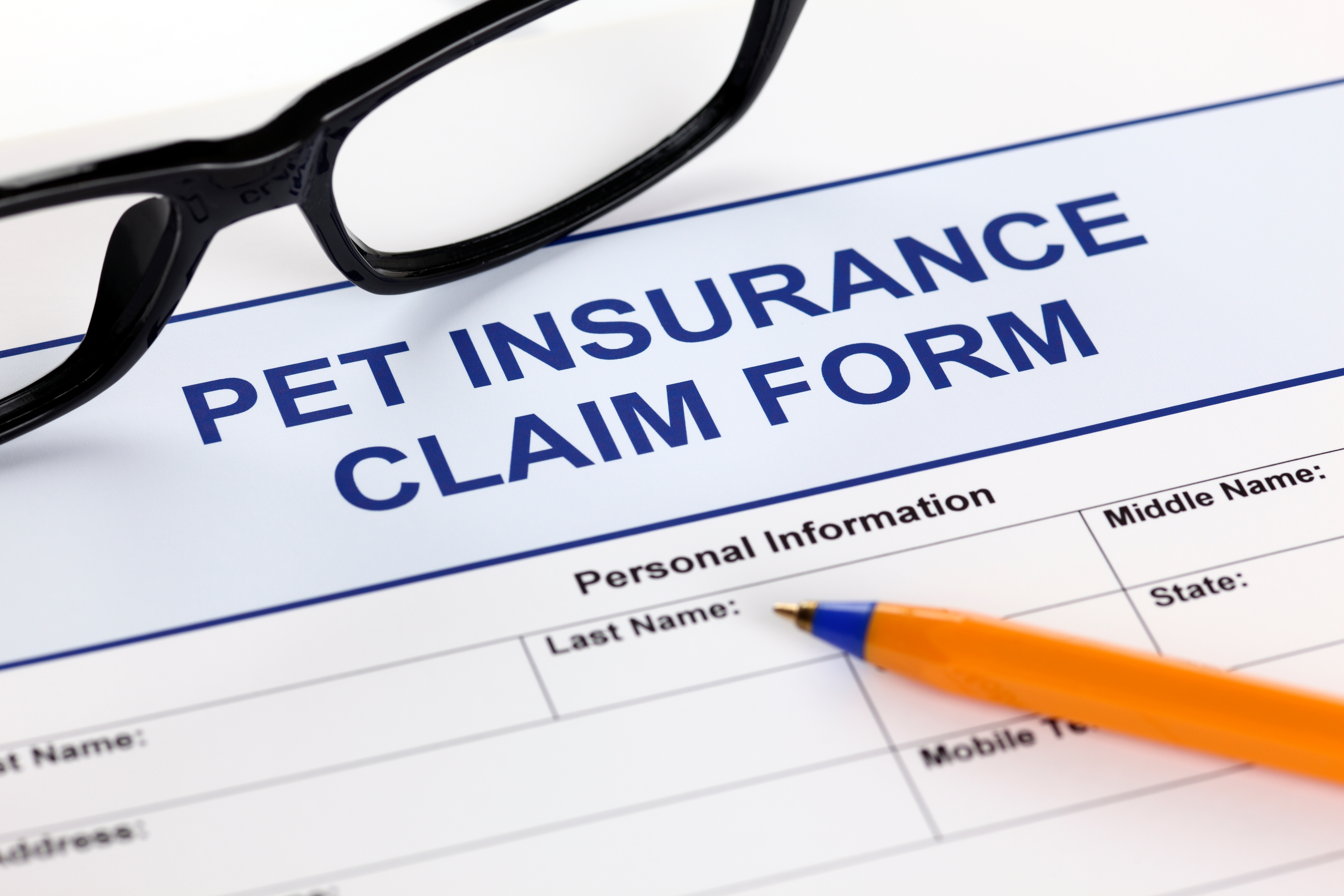 How to Make a Pet Insurance Claim