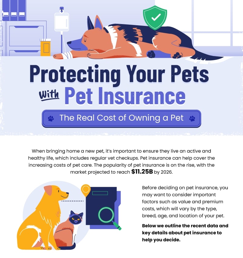 Pet Insurance-1