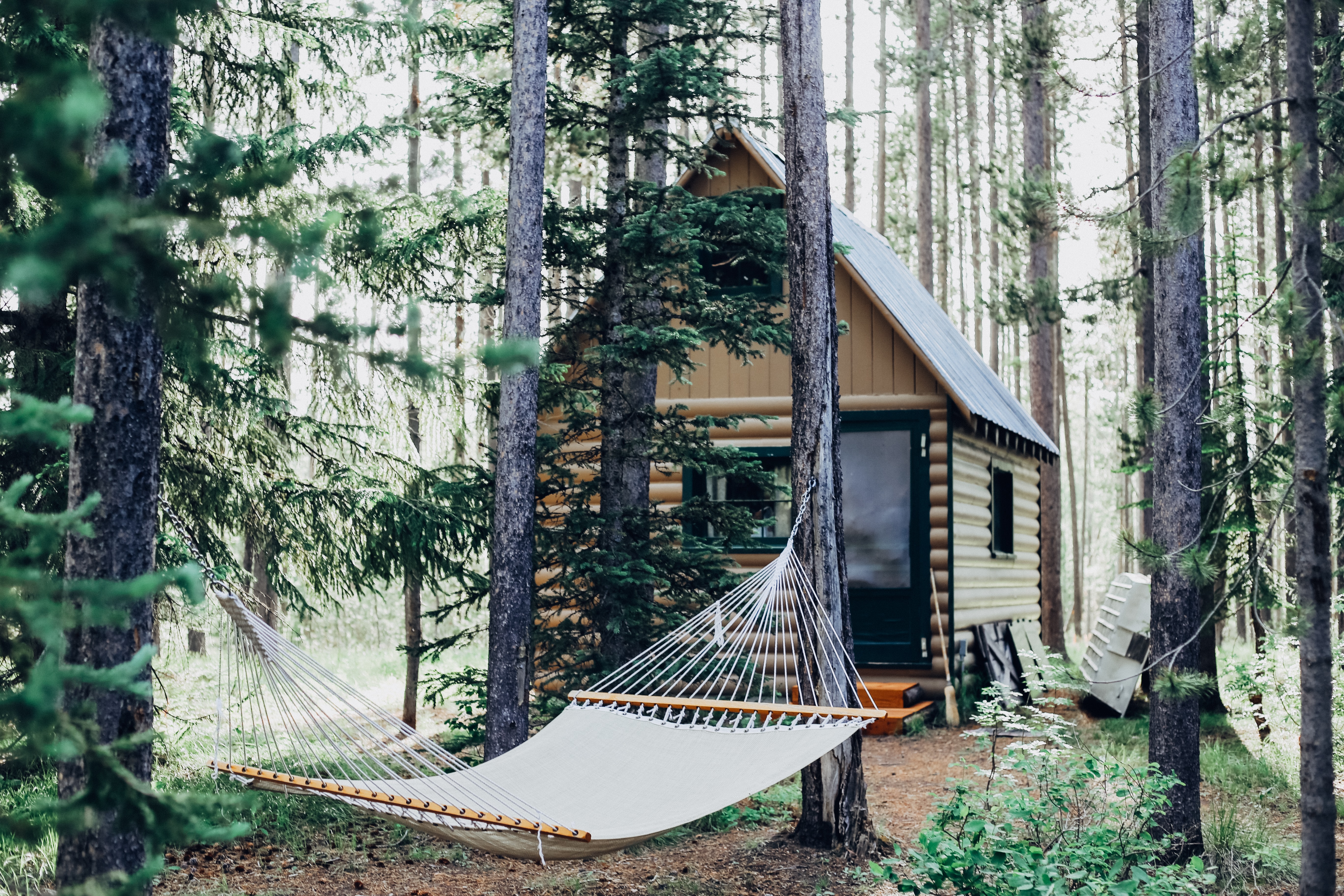 cabin-hammock