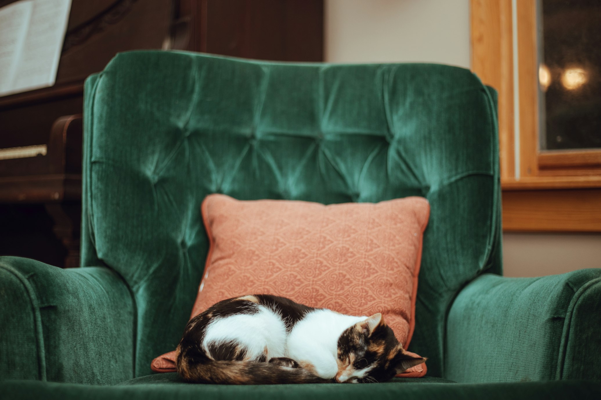 calico-green-chair