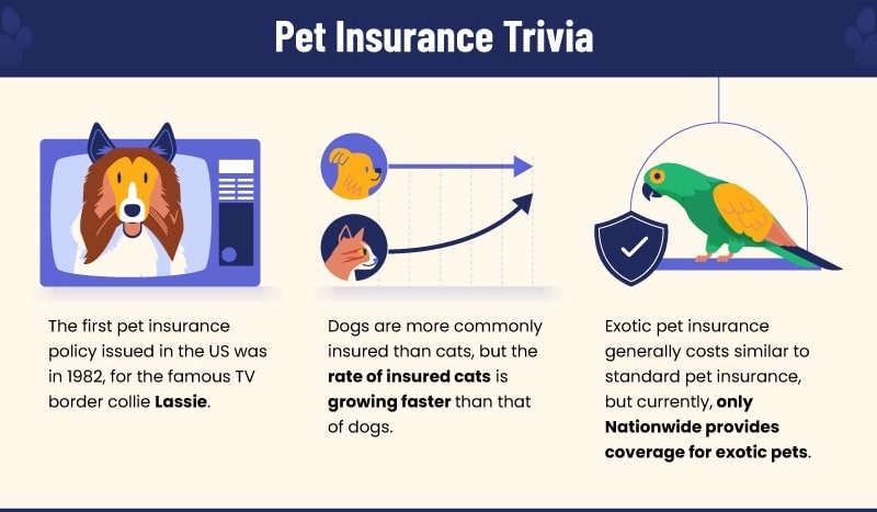 pet-insurance-2