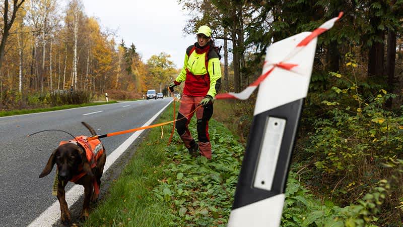 Eine Frau in leuchtender Schutzkleidung und ein Hund laufen neben einer Landstraße. 