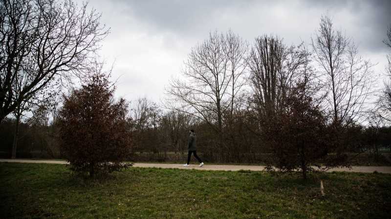 Das Bild zeigt einen jungen Mann bei einem Spaziergang durch den Park.