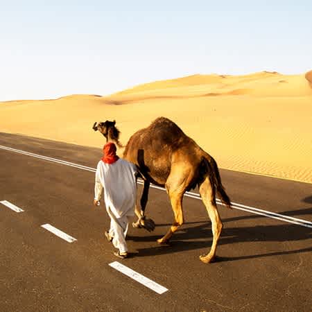 Ein Mann überquert mit einem Kamel eine Straße, im Hintergrund sind hohe Sanddünen.