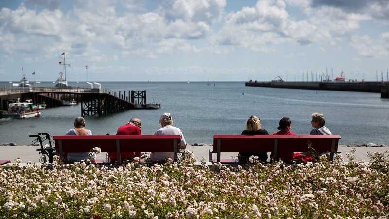 Eine Gruppe von Senioren sitzt auf zwei Bänken und schaut auf das Meer.