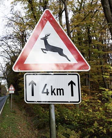 Das Verkehrszeichen Wildwechsel an einer Landstraße warnt vor der Gefahr, die im Streckenabschnitt von 4 km von Wildtieren ausgehen kann.