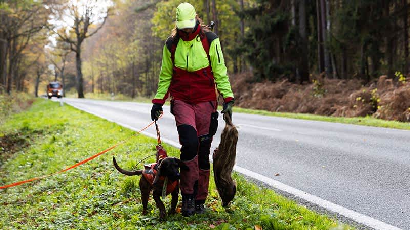 Eine Frau läuft mit einem Hund entlang einer Landstraße. In ihren Händen hält sie die Hundeleine sowie ein totes Wildschwein. 