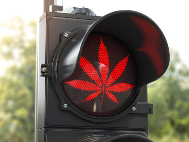 Eine Verkehrsampel zeigt symbolisch ein rot leuchtendes, stilisiertes Hanfblatt.