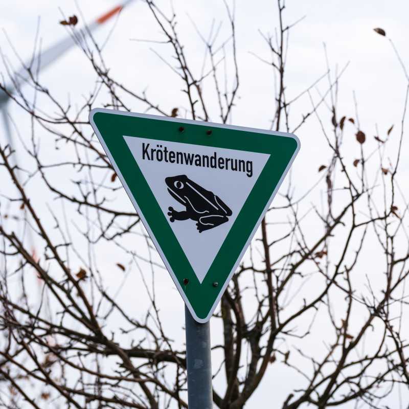 Ein grün-weißes Hinweisschild mit dem Schriftzug „Krötenwanderung“.