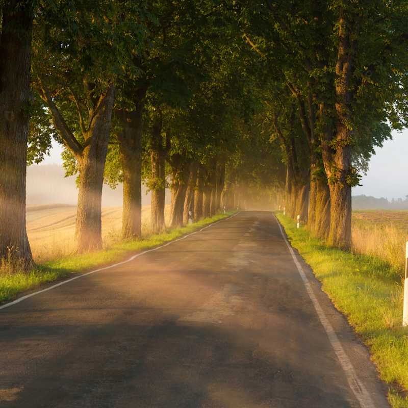Mit diesen Verhaltensregeln und Tipps sind Fahrende auf Landstraßen auf