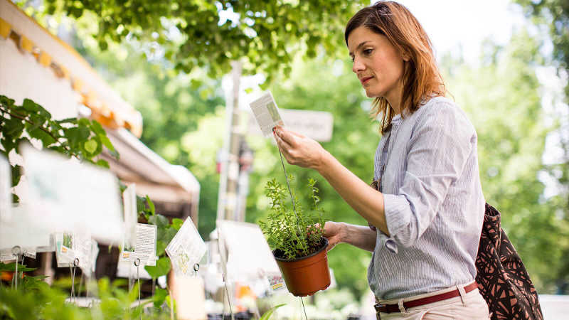 Christina Hecke betrachtet Pflanzen auf einem ökologischen Wochenmarkt.