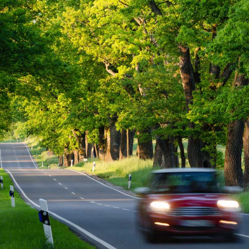 Ein rotes Auto fährt auf einer Landstraße entlang. Die Straße ist von vielen Bäumen. Immer wieder kommt es auf Landstraßen zu gefährlichen Unfällen durch Hindernisse wie Bäume. 