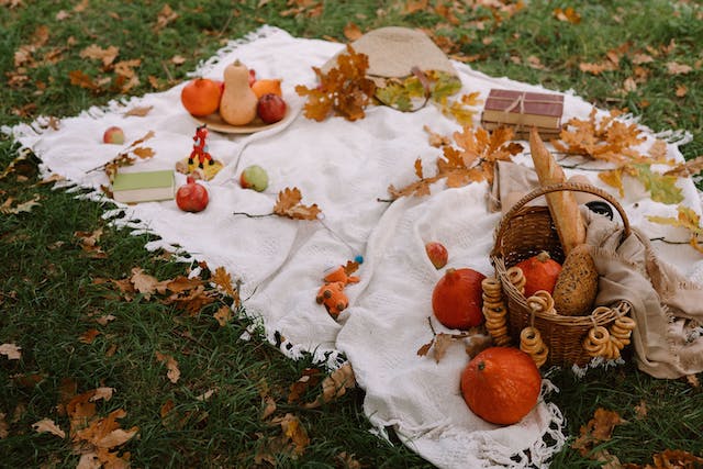 autumn picnic