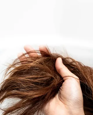 Hair care tips to repair damaged hair