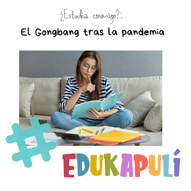 chica leyendo concentrada un libro