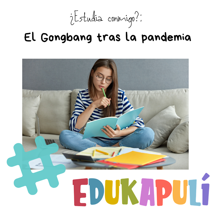 chica leyendo concentrada un libro