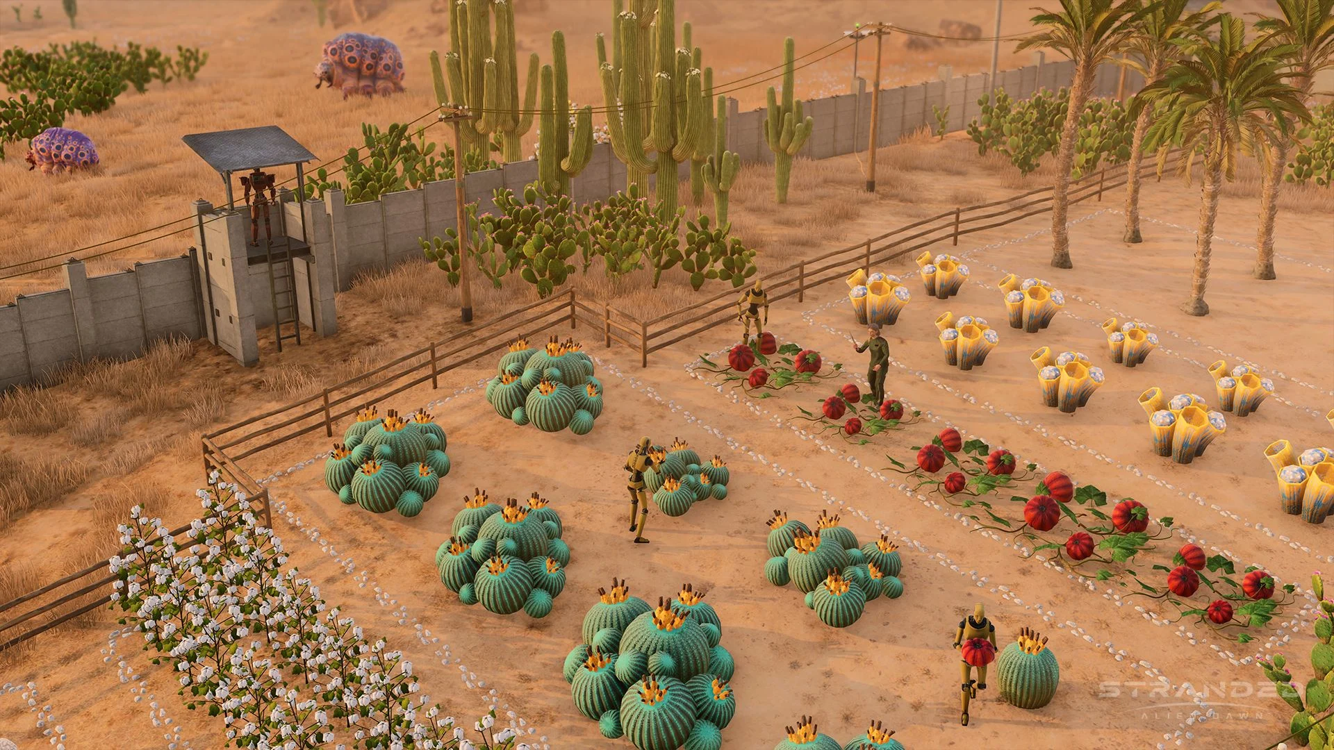 Stranded Alien Dawn Robots And Guardians Screenshot 2