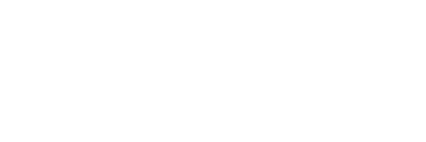Transport Fever 3 logotype