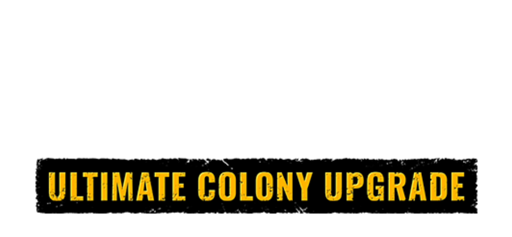 Surviving the Aftermath: Ultimate Colony Upgrade