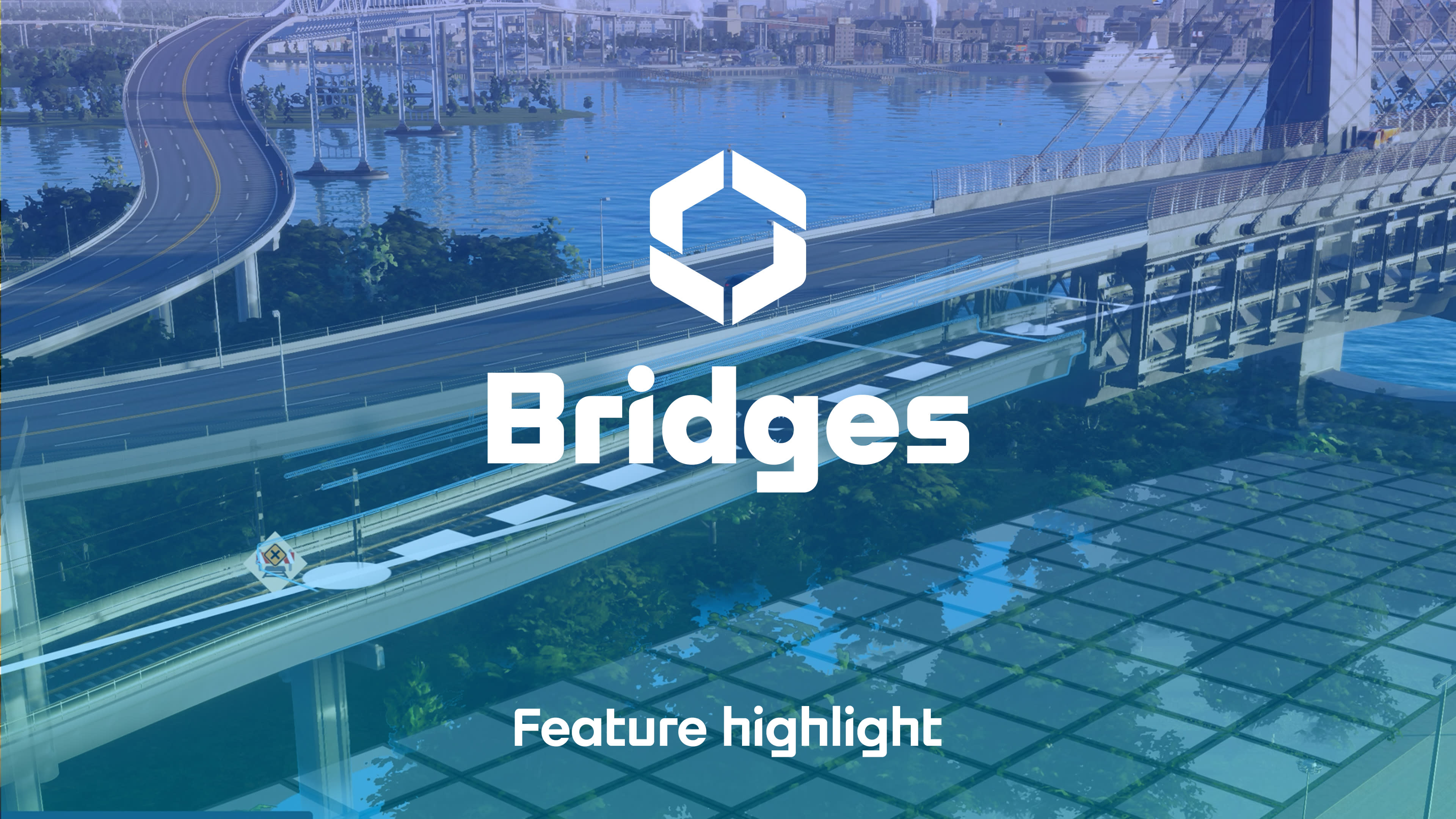 CSII BridgesPorts-FH-1-Thumb (2)