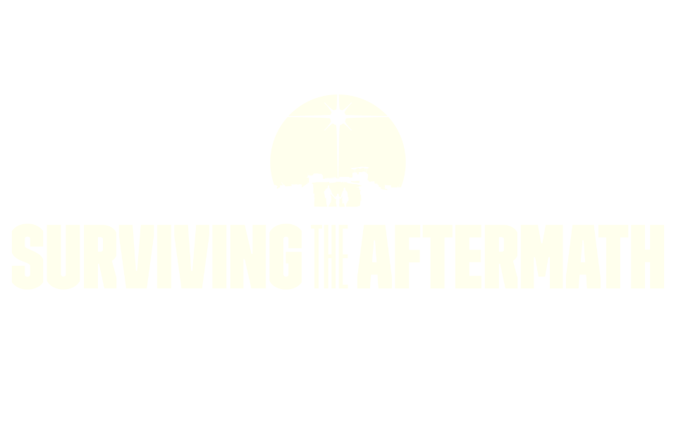 Buy Surviving the Aftermath: Rebirth