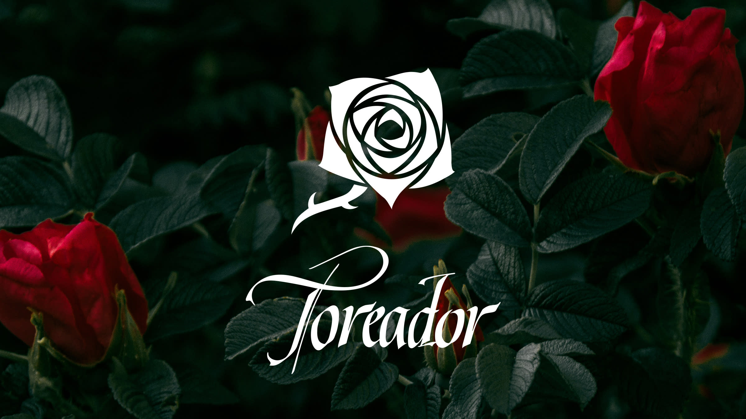 Toreador