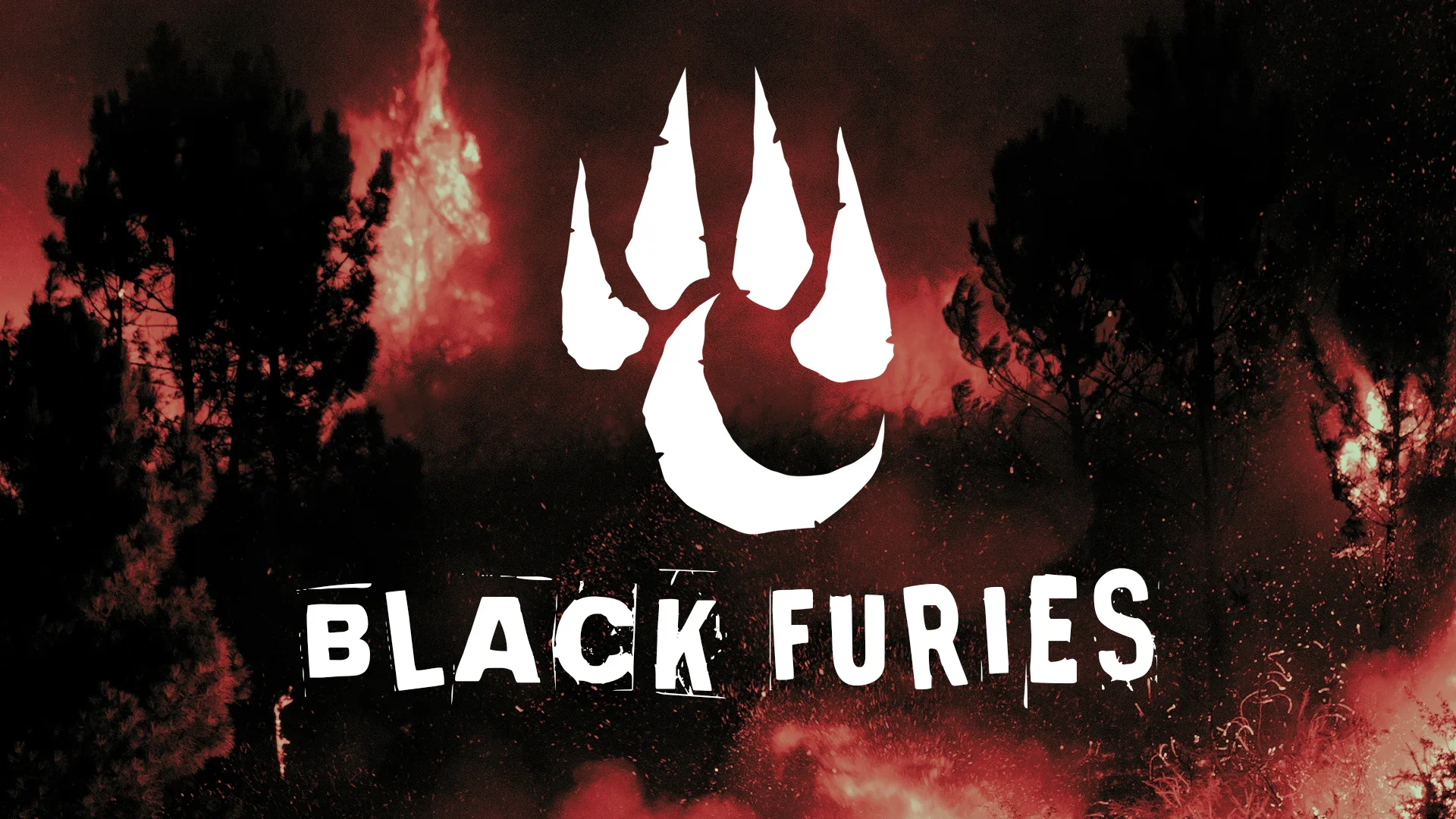 BlackFuries