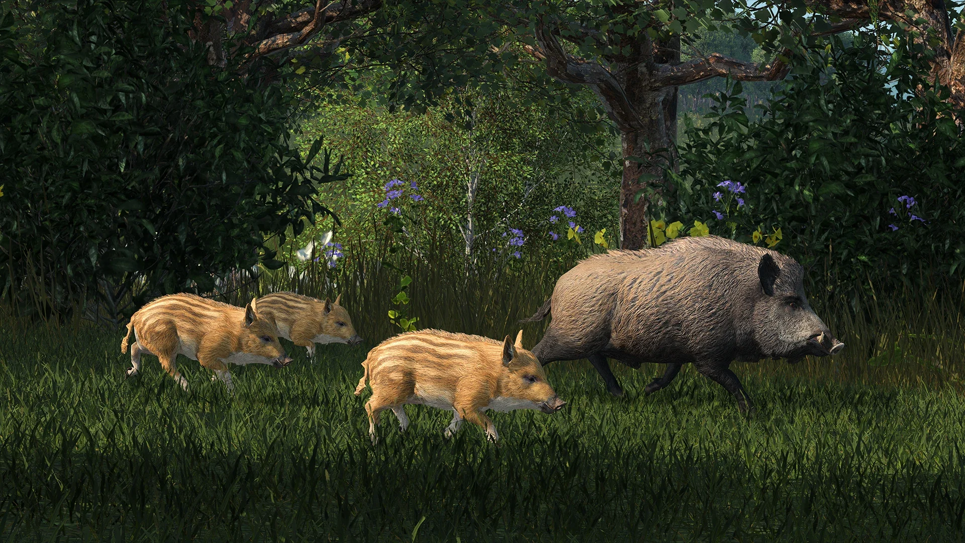 Boar Family DE transport fever 3