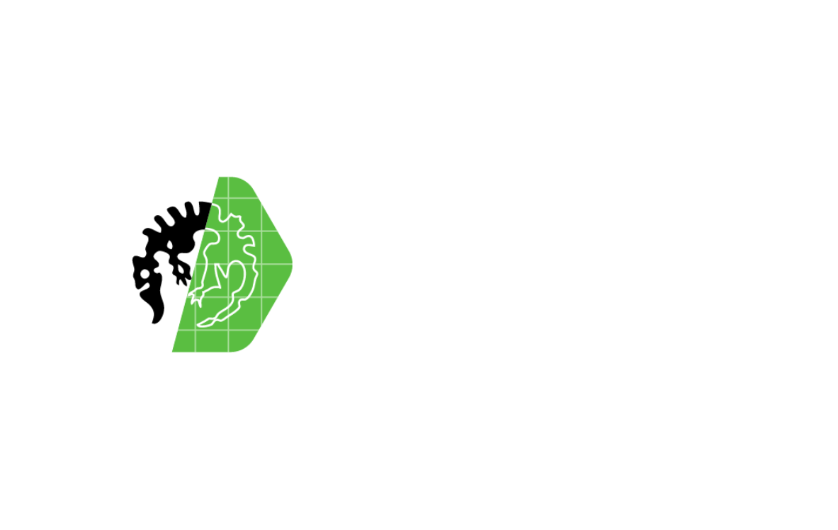 paradox-mods-cities-skylines-ii