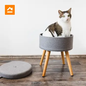 mueble-para-gato