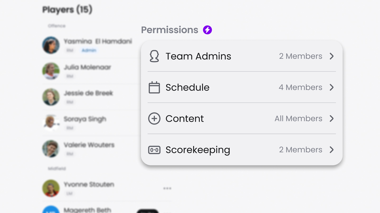 Help Article Visual - Roles and Permissions Overview
