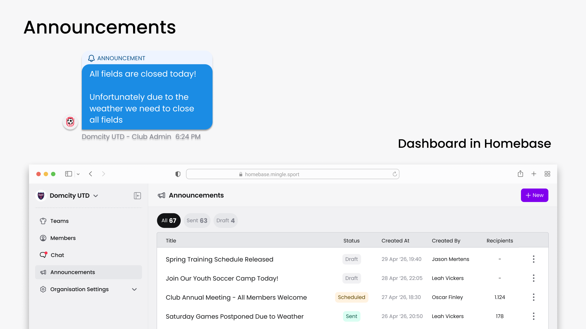 Help Article Visual - Announcements