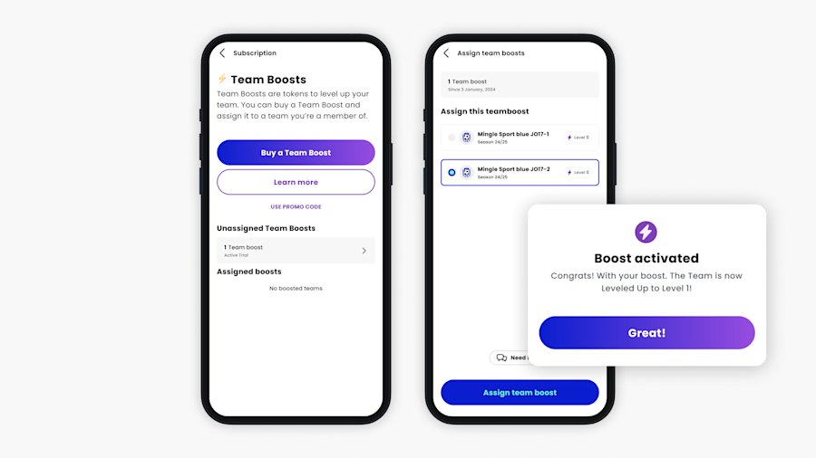Help Article Visual - Assign Team Boost